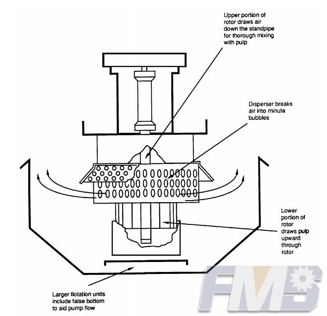 Cross-Section of a Typical Flotation Cell